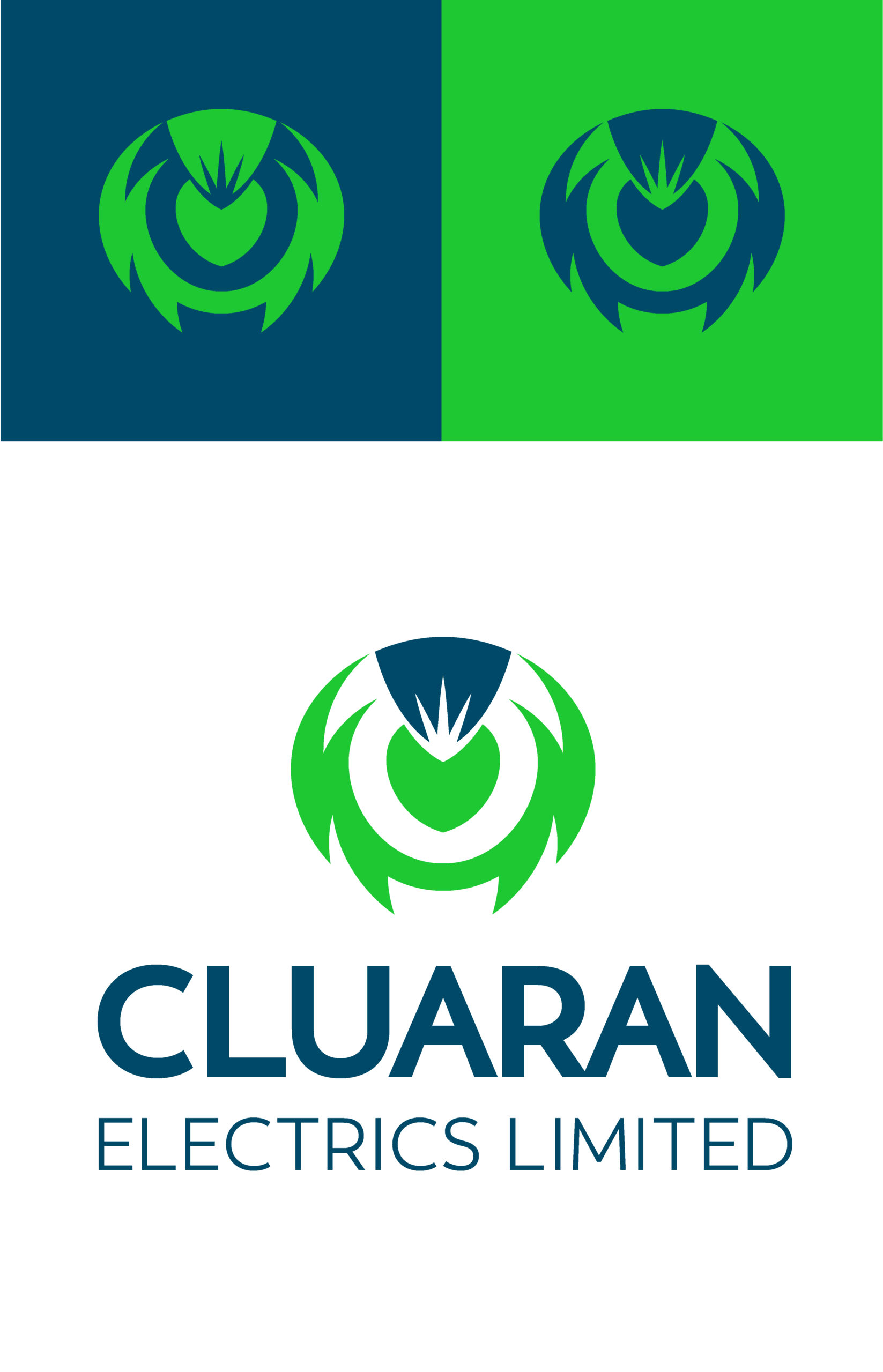 Logo design to livery graphics Dundee